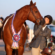 EC Photo of the Day: For the Love of the Horse