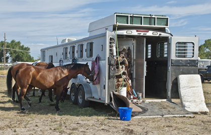 Dealing With Horses That Go Off Feed After Transport