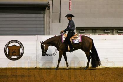 Congratulations to Dempze Family on Purchase of Reserve Congress Champion, Rewind and Repeat