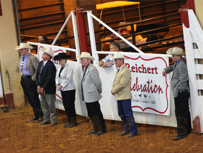 Beginning Dec. 2014, AQHA All-Around Judges Will Need to Recertify Every Two Years