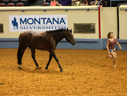 11-Year-Old Shea Graham Wins Inaugural Freestyle Horsemanship at 2013 AQHYA World Show