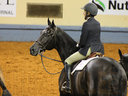 Congratulations 2013 AQHYA Hunter Under Saddle Finalists!