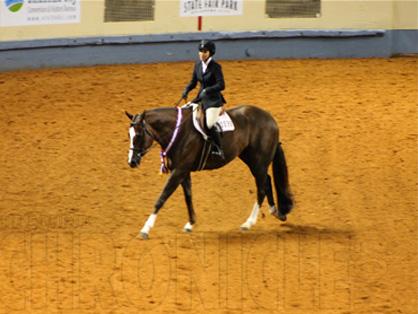 Paige Stopperich and Cowboys R Hot Take Top Title in Equitation at 2013 AQHYA World Show