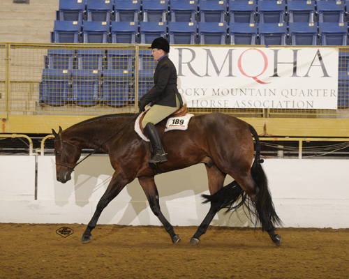 More Results From 2014 Pre-Denver and National Western Stock Show