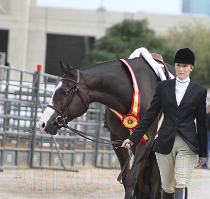 Tentative Dates For 2014 APHA World Shows, No Qualifying For AjPHA Youth World