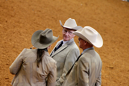 Learn How AQHA Classes Are Judged