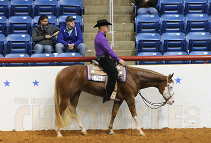Announcing New World Championship Color Classes at 2014 NSBA World Show, 2014 Rule Changes Posted