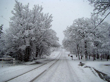 Trailering Your Horse Through the Polar Vortex