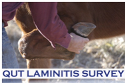 Worldwide Survey of Equine Laminitis Seeking Study Participants