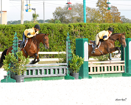 New “Tandem/Synchronized” $1,000 Hunter Pairings Class a Huge Hit Among Competitors at 2014 Fl. Gulf Coast
