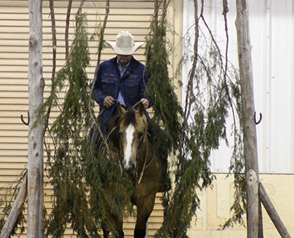 First Series of AQHA Trail Challenges Ends in FL., Saw Riders From Eight States With 15+ Different Breeds Compete