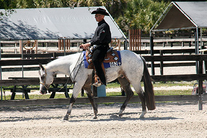 Nearly 30 Years and Still Going Strong: Florida Super 8 Appaloosa Show Circuit