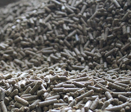 Is Your Horse’s Feed Safe to Consume?