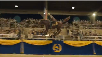 “The Other Horse Commercial,” Diet Mtn. Dew Horse Show Tricks