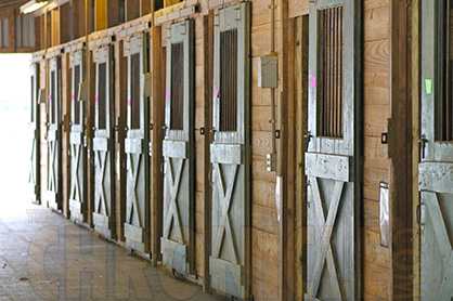 Managing Healthy Air Quality in the Closed Up Barn