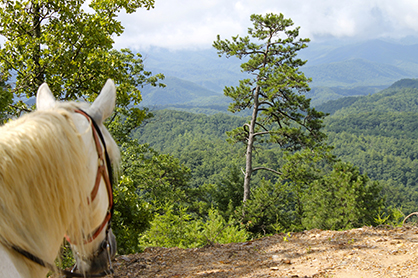 HRTV Debuts New Weekly Series, “Saddle Up!”- Riding Through the Most Spectacular Scenery in North America