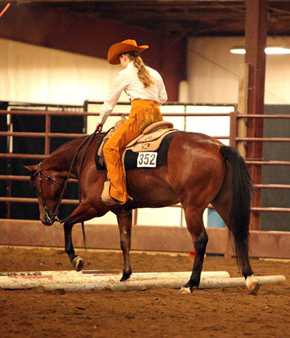 AQHA High Point Youth Ranch Pleasure Horse, PHBA WC Mare, Res. WC AQHA Halter Stallion Will Sell in Pro Horse March Online Auction