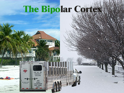 The Bipolar Cortex: Concerns When Trailering Horses Through Various Climates