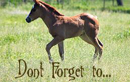 Don’t Forget to Spring Forward!