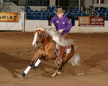 Lights, Cameras, Action ~ Cactus Reining Classic Style
