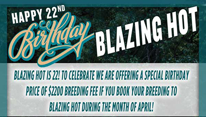 Happy 22nd Birthday Blazing Hot! Special Birthday Breeding Fee During April