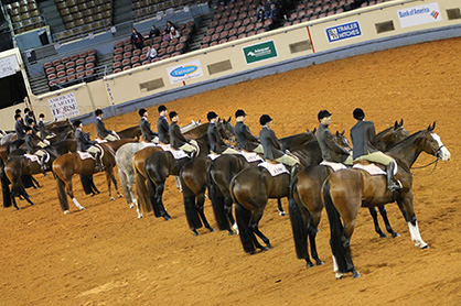 Unique Online Study Will Examine Incidence of Bullying in Horse Sports