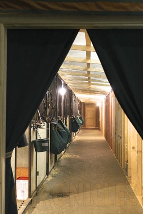 Ammonia- Hidden Health Danger in the Barn | Equine Chronicle