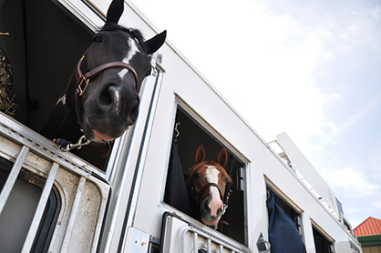 Acres and Acres of Horse Trailer Shopping at Western States Horse Expo!