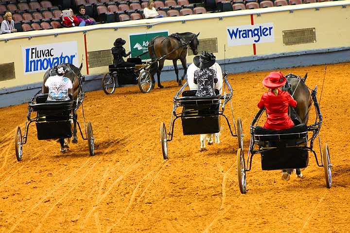 AQHA Schedule of Events For 2015- Plan Your Show Calendar Today!