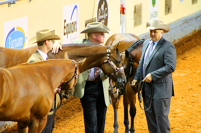 Dan Trein, Robin and Jenny Frid, Chad Evans, Marty Simper, Brad Kearns, Sandy Vaughn, Sam Rose, and Todd Crawford Named as Clinicians For 2016 AQHA Youth World