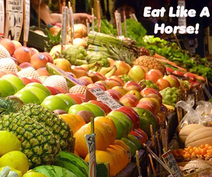Fruits are Fabulous, Even for Insulin Resistant Horses!