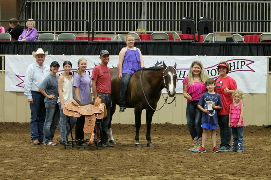 Day 11 Results and Photos From 2014 Pinto World Show Equine Chronicle