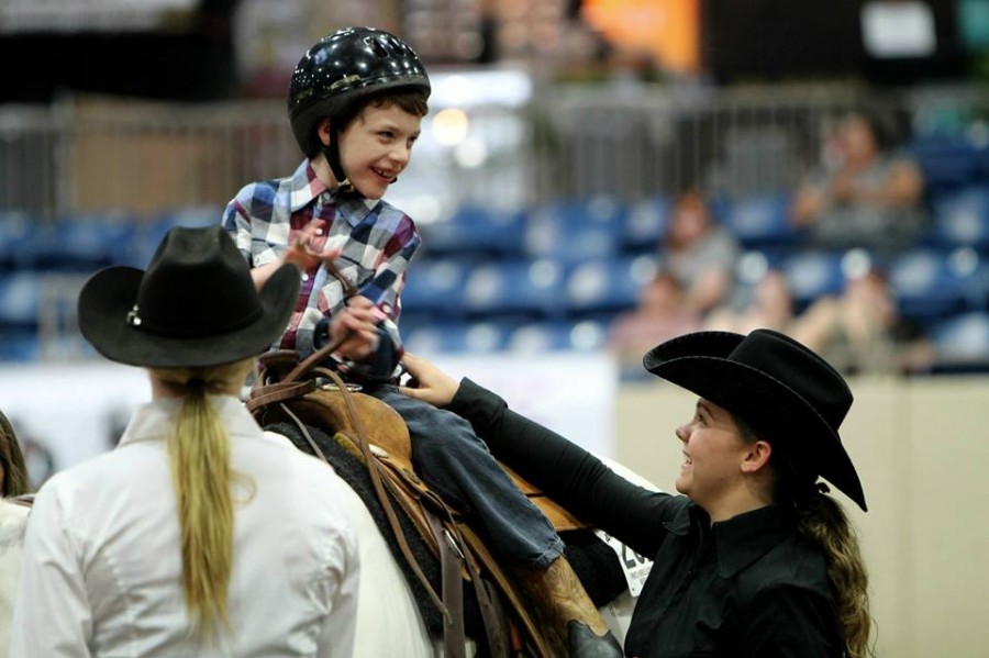 Final Day of 2014 Pinto World Show Results and Photos Equine Chronicle