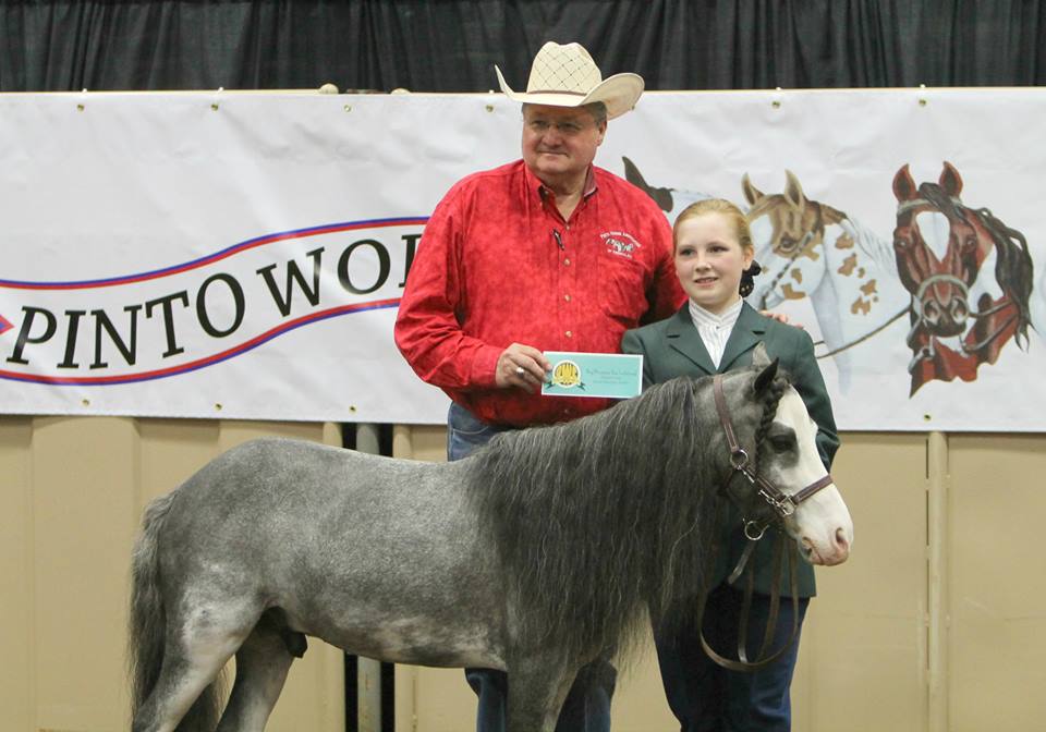 Day 2 Photos and Results From 2014 Pinto World Show