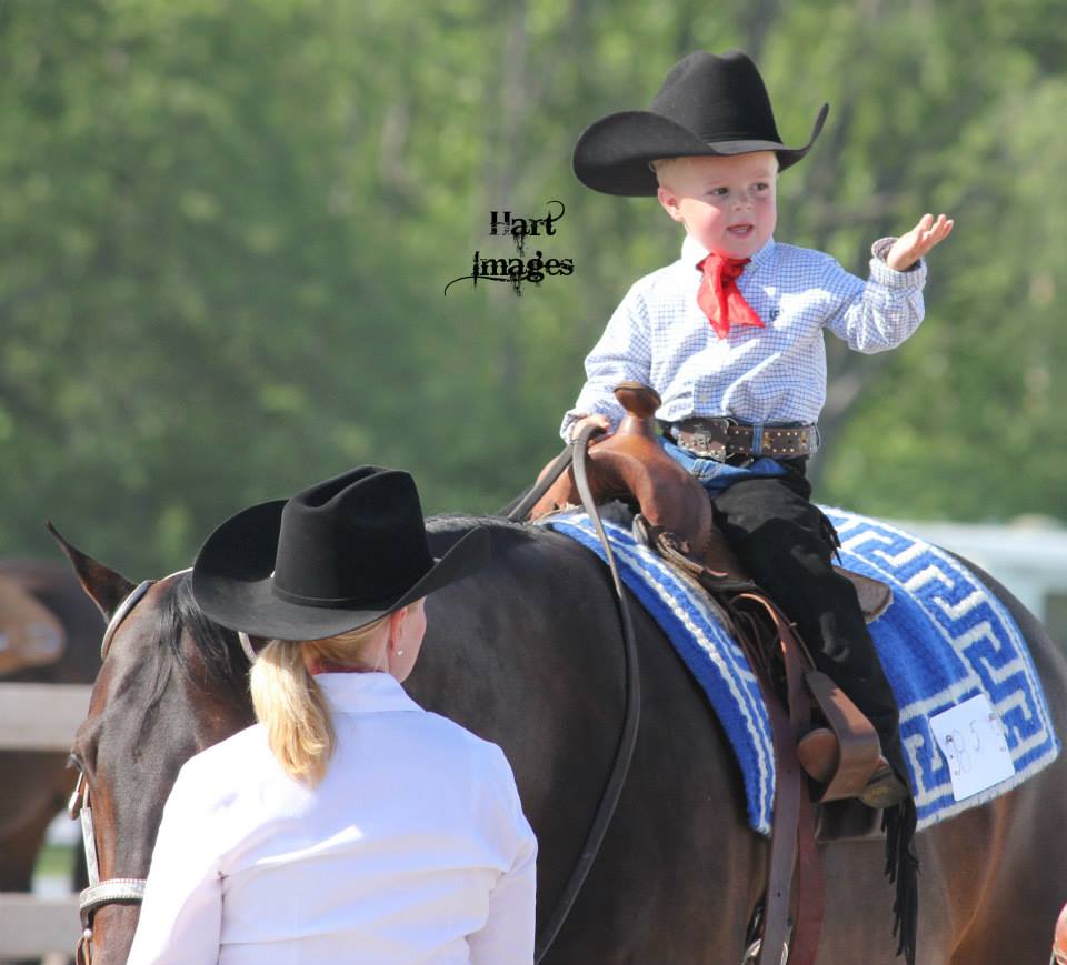 2014 Around the Ring Photos at Keystone Showdown