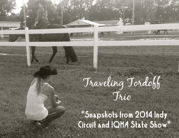 Traveling Tordoff Trio is On the Road Again! Fun Indy Circuit and IQHA State Show Photos
