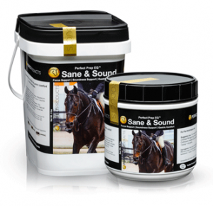 Introducing Perfect Prep EQ Sane & Sound, a New Revolutionary Approach to Equine Calming