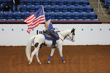 Baylor Equine-Veteran Research Program Awarded $50,000 Grant