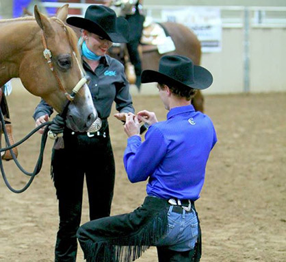 “She Said Yes!” In-the-Show-Pen Proposal For Pinto World Show Competitor