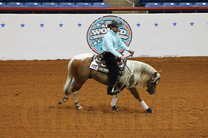 7 New Classes Added to APHA World Show Schedule, Qualifying Waived