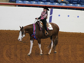 Third World Title For Alexa Rogers at 2014 AjPHA Youth World Show Comes in Walk-Trot Trail