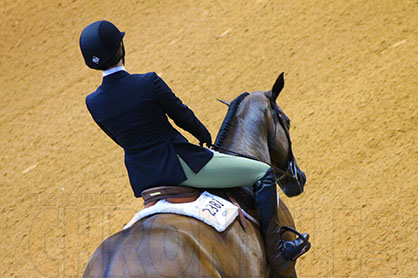 Ill-Fitting Saddles Are Culprits For Horse AND Rider Back Pain, New Study Suggests