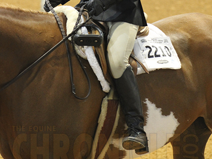 Youth World Prep: “Riders, Drop Your Stirrups”