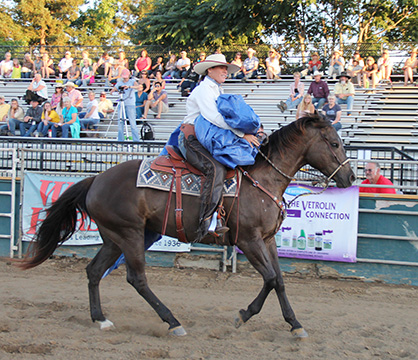 Super Horse Challenge Wows Crowds at Western States Horse Expo