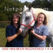 Stolen Horse Recovered Over Fourth of July Weekend