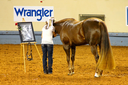 AQHYA World Freestyle Exhibition Extravaganza!