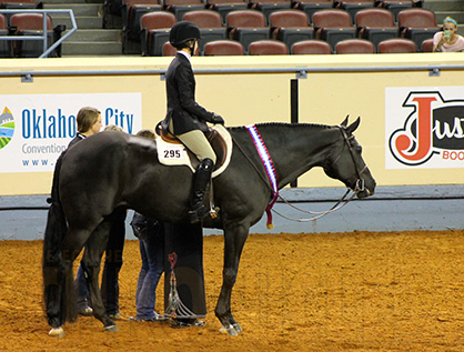 14-Year-Old Gentry Cherry and Imasgoodasitgets Are 2014 AQHYA Equitation World Champions