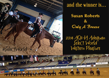Western Pleasure, Ranch Horse Pleasure, and Reining Select World Champions Are…