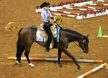 Find Your 2015 AQHA Level Via Online Verification System