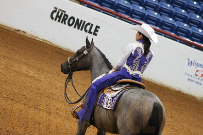Final Results and Photos From 2014 Reichert Celebration: ApHC, Arabian, and Futurity